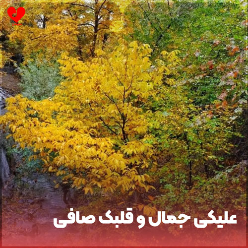 دانلود اهنگ علیکی جمال و قلبک صافی و ابن حلال 